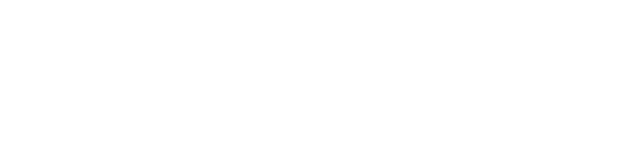 ZENITH WiFi